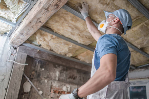 Best Spray Foam Insulation in Erath, LA