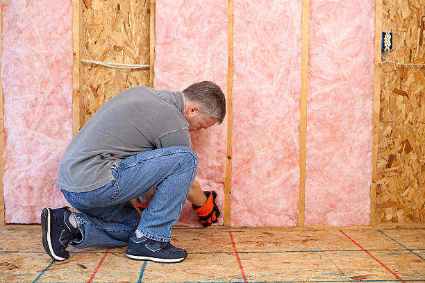 Best Residential Insulation in Erath, LA