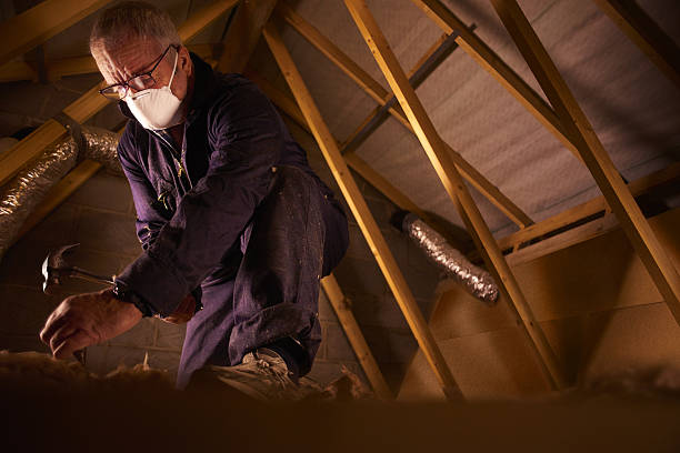 Types of Insulation We Offer in Erath, LA